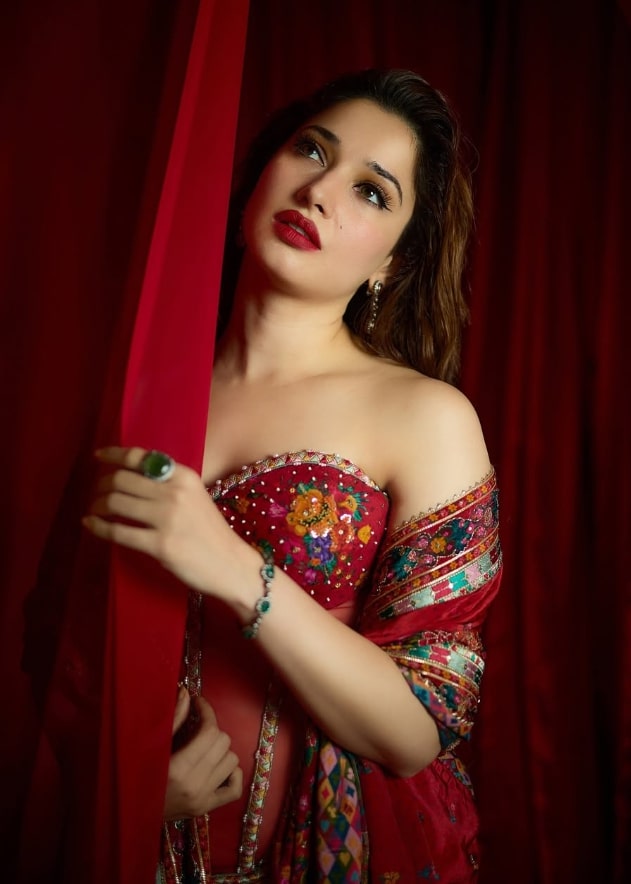 Tamannaah Bhatia Net Worth 2025