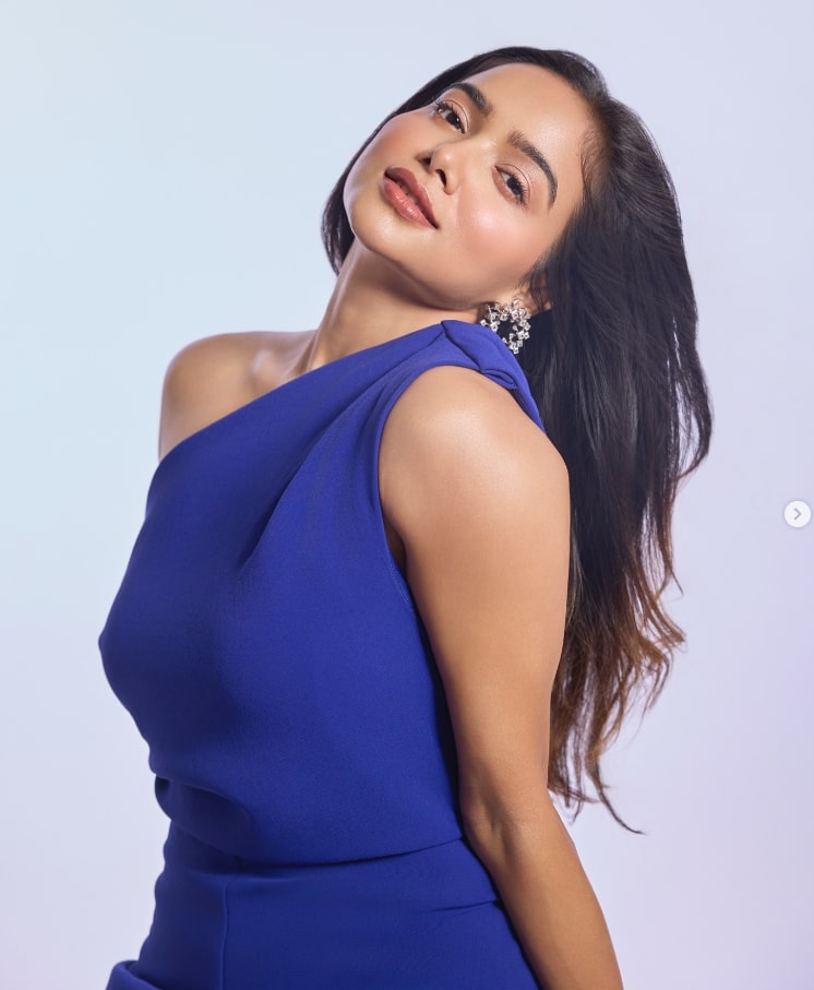Manisha Rani Net Worth